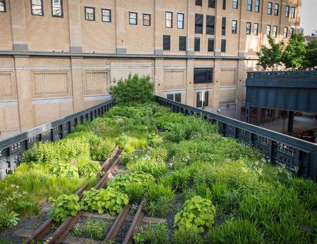하이라인은 시민과 뉴욕시가 함께 선정한 전문 디자이너들이 곳곳을 디자인했다. 하이라인 공식 홈페이지