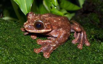 [사진=위키백과]