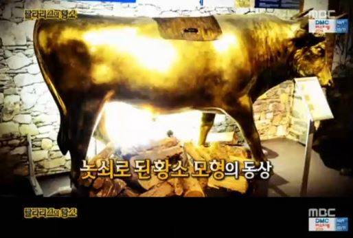 서프라이즈