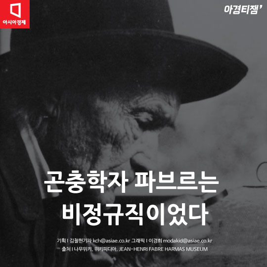 카드뉴스]곤충학자 파브르는 비정규직이었다