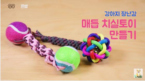 사진 은쌤의 강아지 장난감 만들기 영상 캡처.(hows tv 제공) ⓒ News1