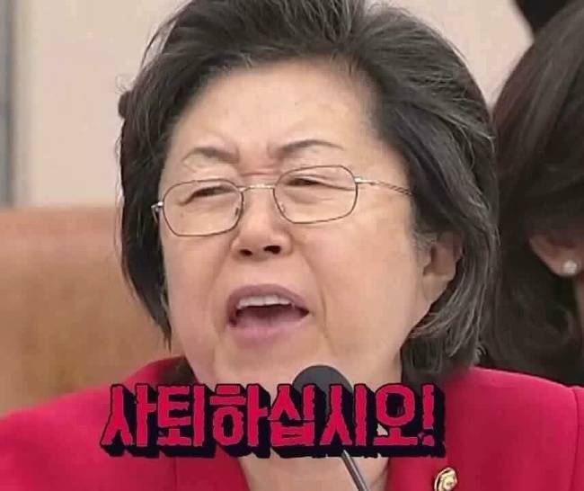 이은재 새누리당 의원의 모습을 소재로 만든 짤. 이 의원은 최근 열린 국회 교문위 국감에서 조희연 서울시 교육감과 논쟁을 벌이며 온라인 상에서 큰 관심을 끌었다. [출처=온라인 커뮤니티]