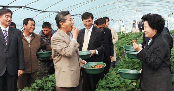 2008년 11월 노무현 전 대통령이 당시 안희정 민주당 최고위원의 고향인 충남 논산의 한 딸기작목반을 방문, 수확한 딸기를 부인 권양숙 여사에게 권하고 있다.