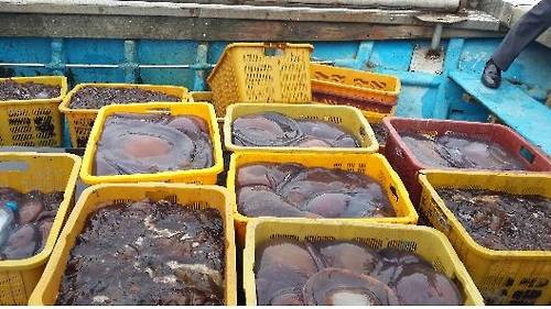 [국립수산과학원 서해수산연구소 제공]