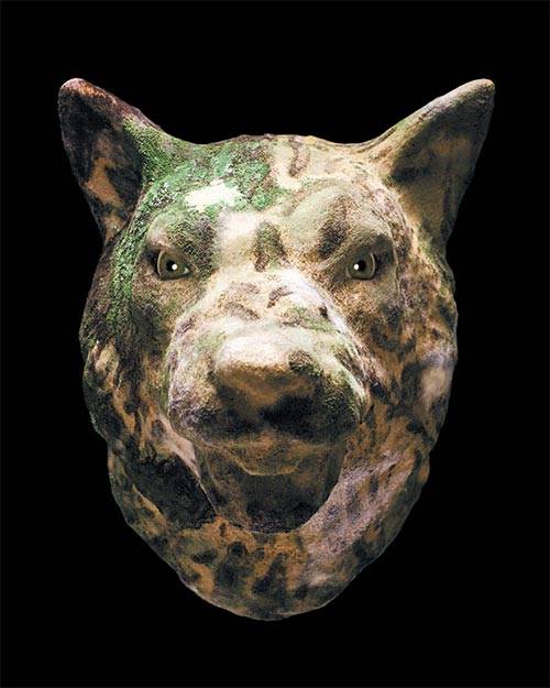 동물 에 배양한 곰팡이 로 삶과 죽음의 경계를 탐색하는 윤진영 작가의 ‘침입종’. [사진 일우재단]