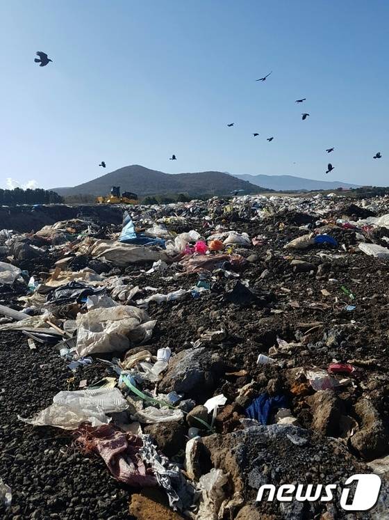 15일 오전 제주시 회천동 회천(봉개)매립장에 각종 쓰레기들이 널브러져 있다.2016.11.15.뉴스1 © News1 오미란 기자