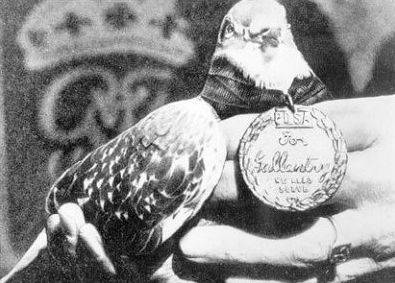 프랑스 십자훈장을 받은 쉘아미