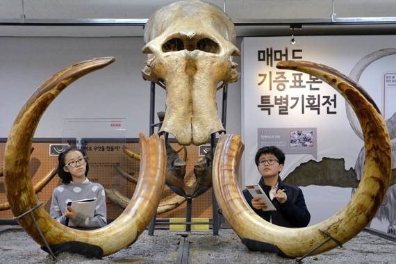 털매머드의 머리뼈와 상아를 관찰하고 있는 김도영(왼쪽)·신용재 학생기자.