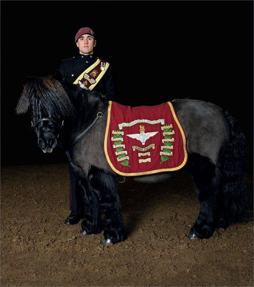 페거서스 [사진 www.countrylife.co.uk]