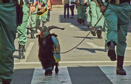 스페인 외인 부대가 마스코트 염소와 함께 분열을 하고 있다. [사진 위키피디어]