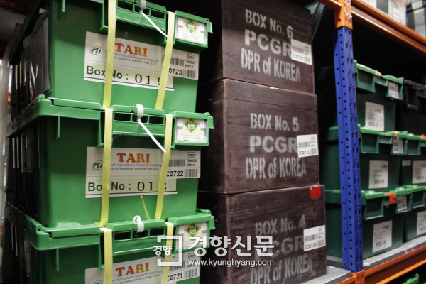 스발바르 국제종자저장소 안에 보관돼 있는 북한의 종자 상자. 저장고 안에서 유일한 나무박스다. |이인숙기자