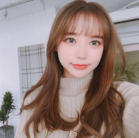 [사진 한아름송이 페이스북]