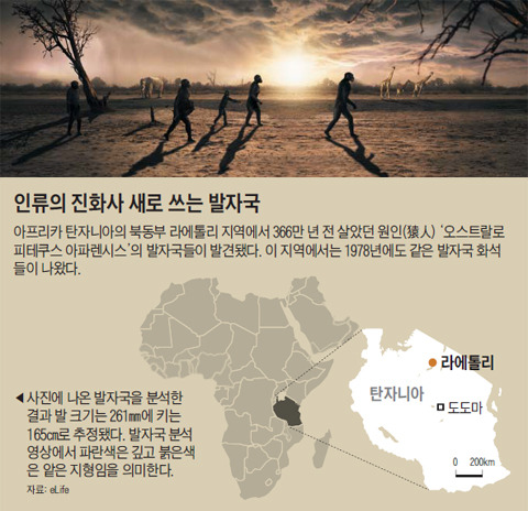 오스트랄로피테쿠스 무리의 이동 상상도. 발자국 화석을 통해 성인 남성 한 명과 성인 여성 3명, 아이 한 명이 함께 길을 간 것으로 추정됐다. 이를 근거로 오스트랄로피테쿠스가 일부다처제 사회였을 것이란 주장이 나왔다. /이탈리아 사피엔자대