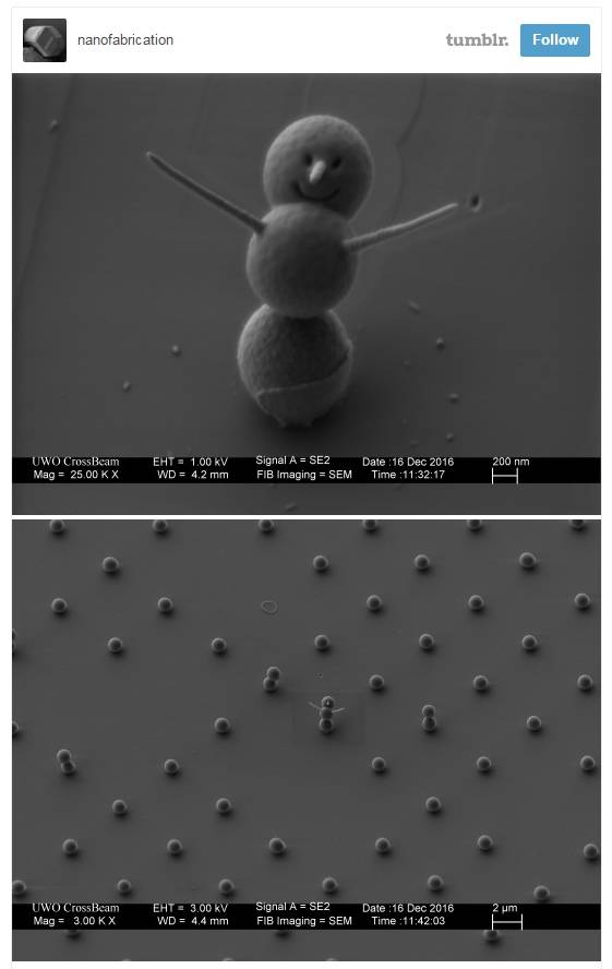 [사진 웨스턴대학 텀블러 캡처]
