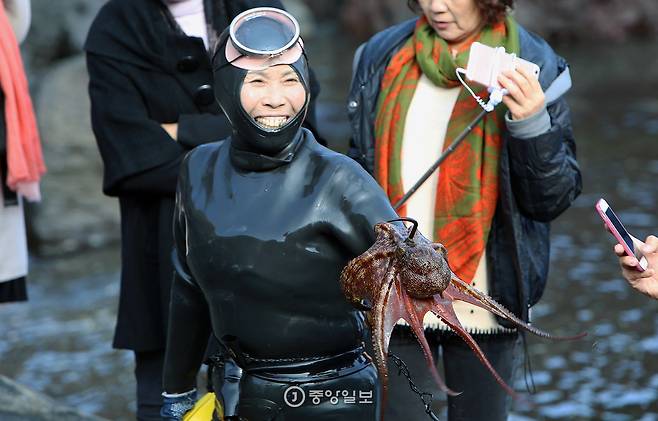 성산 해녀가 막 문어를 잡았다. 해녀의 얼굴이 달처럼 환해졌다.