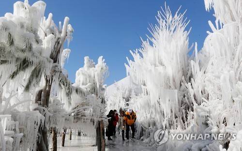 (인제=연합뉴스) 이재현 기자 = 오는 21일 개막하는 '제17회 인제 빙어축제'가 닷새 앞으로 다가온 16일 축제장을 미리 찾은 관광객들이 인제군 남면 부평리 빙어호 인근 축제장에 조성된 '은빛 나라'에서 겨울 추억을 만들고 있다. 2017.1.16      jlee@yna.co.kr