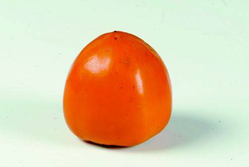 [사진 중앙포토]