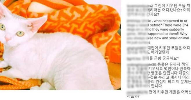 민효린 인스타그램