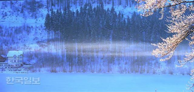 티티제의 새벽안개.  햇살 비친 상고대가 봄 꽃처럼 화사하다.