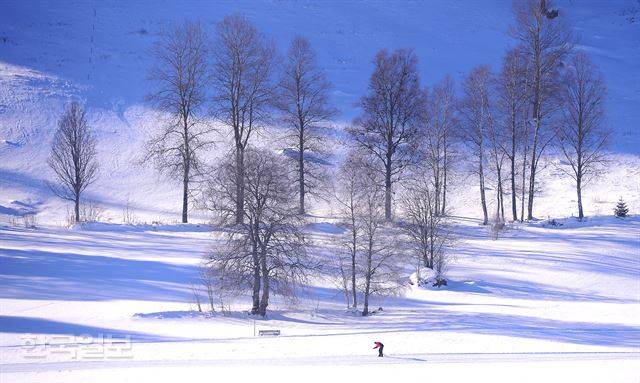 장비만 있다면 어디서나 스키와 썰매를 즐길 수 있다.