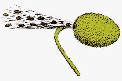 [사진 온라인 커뮤니티 캡쳐]