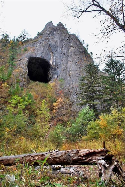 원작자 Yuriy Chernayavskiy. [UNIST 제공=연합뉴스]