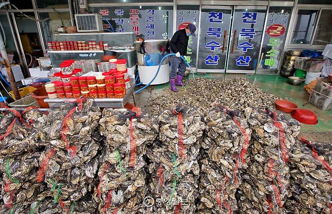 천북 굴단지는 겨울마다 굴이 산더미를 이룬다.