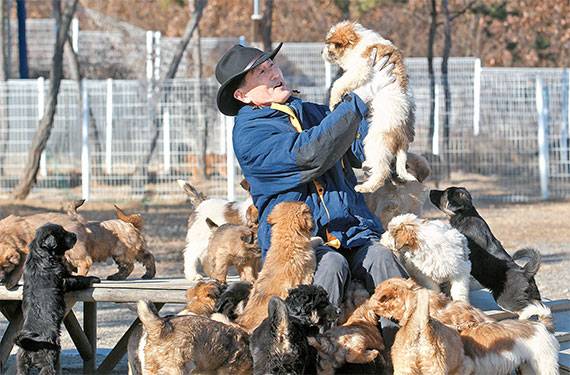 하지홍 교수가 삽살개육종연구소에서 강아지를 살피고 있다. [프리랜서 공정식]