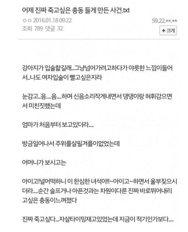 수간빌런./인터넷 캡쳐