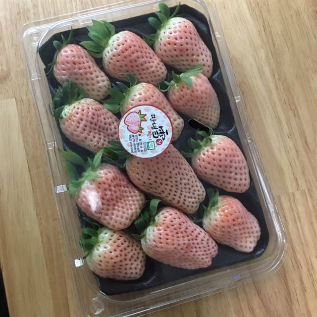 빨갛지 않아도 충분히 달콤하다. '만년설' 딸기. 현대백화점 제공