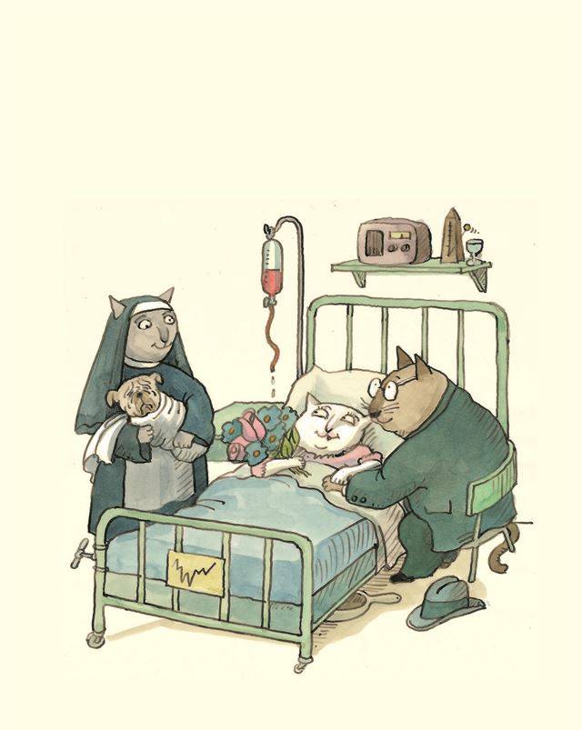 "고양이 부부가 개를 낳다!" 문제적 사건으로 삶의 균형이 깨진 존재들이 그것을 해결해 가는 과정을 그리는 것이 이야기다. 비룡소 제공