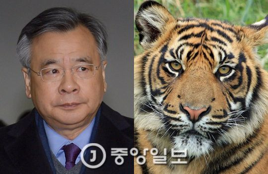 박영수 특별검사