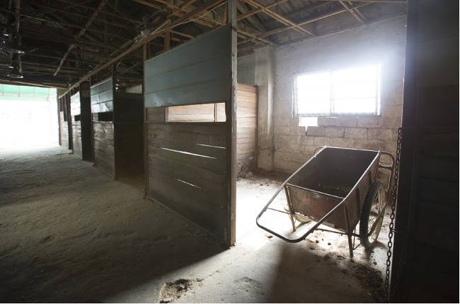 말이 없어 텅 빈 옛 ‘청마농원’. [지호영 기자]