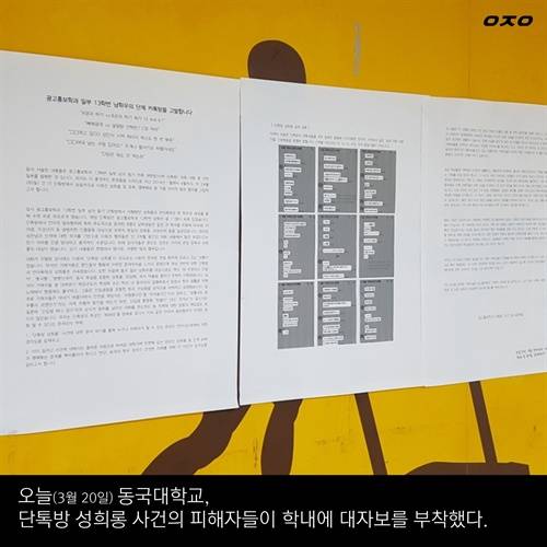 '후배위하는선배가되자' 계속되는 논란에도 여전한, 대학가 단톡방 성희롱