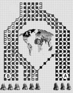 지도에서 A처럼 추운 고위도 지역 출신일수록 콧구멍의 폭은 좁고, B처럼 더운 저위도 지역 출신일수록 콧구멍의 폭은 넓다.미국 펜실베이니아주립대 제공