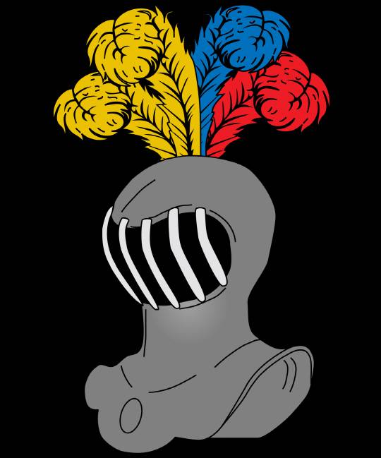 사진=파나쉬(깃털 장식)과 투구, 위키피디아