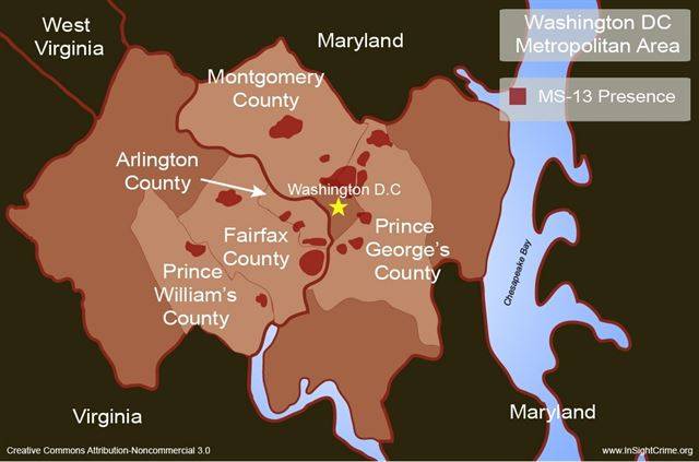 워싱턴 인근의 MS-13 세력 분포도.   자료: Insightcrime.org