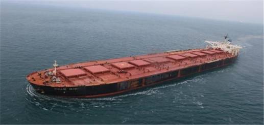 스텔라데이지 /연합뉴스