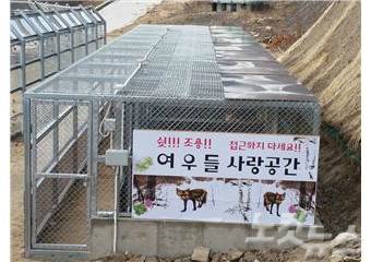 여우 교미장 (사진=환경부 제공)