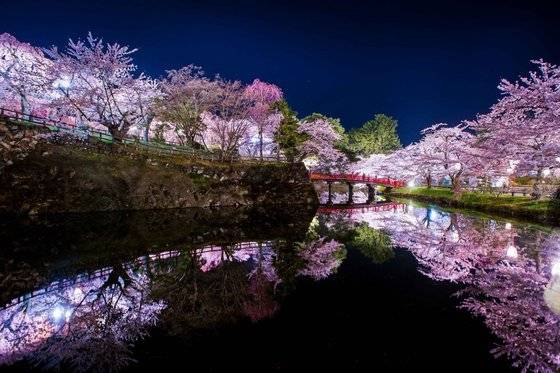 [사진 온라인 커뮤니티]