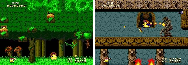 와도나의 숲 스페셜