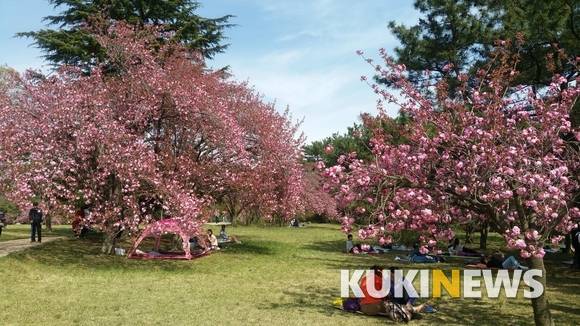 사진=김희정 기자.