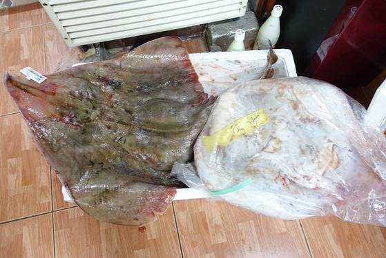 홍어 코에는 흑산도 홍어임을 증명하는 ‘태그’가 매어있고, 비닐 포장 안에 ‘특상’이라고 쓴 종이 표찰이 들어있다.