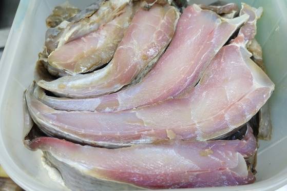 잘 삭은 홍어를 냉장고에서 바로 꺼냈을 때는 속살에 분홍빛이 돈다.