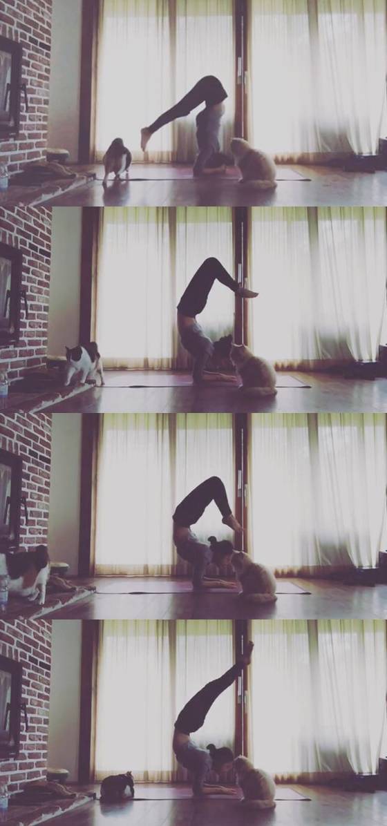 /사진=인스타그램 이효리 영상 캡처