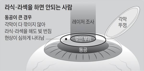 /그래픽=유두호 기자