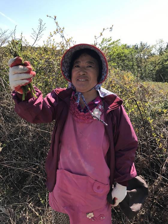 지난 27일 제주도 한라산 500m 중턱에서 만난 고사리 꺾기 달인 강상월씨가 꺾은 고사리를 들어 보이고 있다. 최충일 기자.