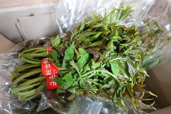 참죽나물: 가죽나물이라고도 하는데 큰 나무의 순이다. 가죽은 잎에 가시나 솜털이 없다. 줄기를 꺾으면 독특한 향이 있어서 다른 나물과 확연히 구분된다. 충남 금산의 ‘숲속농장’에서 산에 심어 야생 상태로 자란 나무에서 채취한 나물이다. 내륙에서는 충청 남부가 자생 북한계선이어서 수도권에서 나고 자란 사람들은 잘 모르는 나물이다. 4월 중·하순이 제철이다.