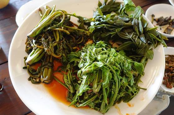 옻순나물 3종: 옻순된장무침·옻순초무침·옻순데침(앞쪽부터 시계방향). 옻순잔치 시작을 알리는 첫 접시였다. 무침에는 대체로 들기름이 들어간다. 데침은 3년 묵은 어육 된장·간장을 찍어 먹기를 권했다. 박기영 시인은 또 초무침은 옻순과 잘 안 어울리는 고추장이 들어가 다음엔 재고해야겠다고 말했다.