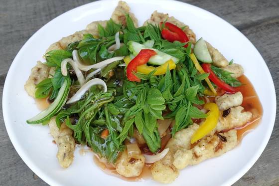 옻순탕수육: 기성품 탕수육을 튀겨 담고 그 위에 데친 옻순을 올렸다. 폭신한 탕수육과 옻순이 서로의 맛을 잘 살려주었다. 탕수육 안에 옻순과 상극이라는 돼지고기가 들어간 사실을 의식하는 사람은 없었다.